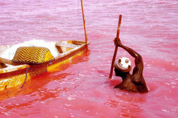 32. salt fisherman to work. Ten A twelve hours per day Oumar is extracting the salt of the pink lake. its only protection vis-a-